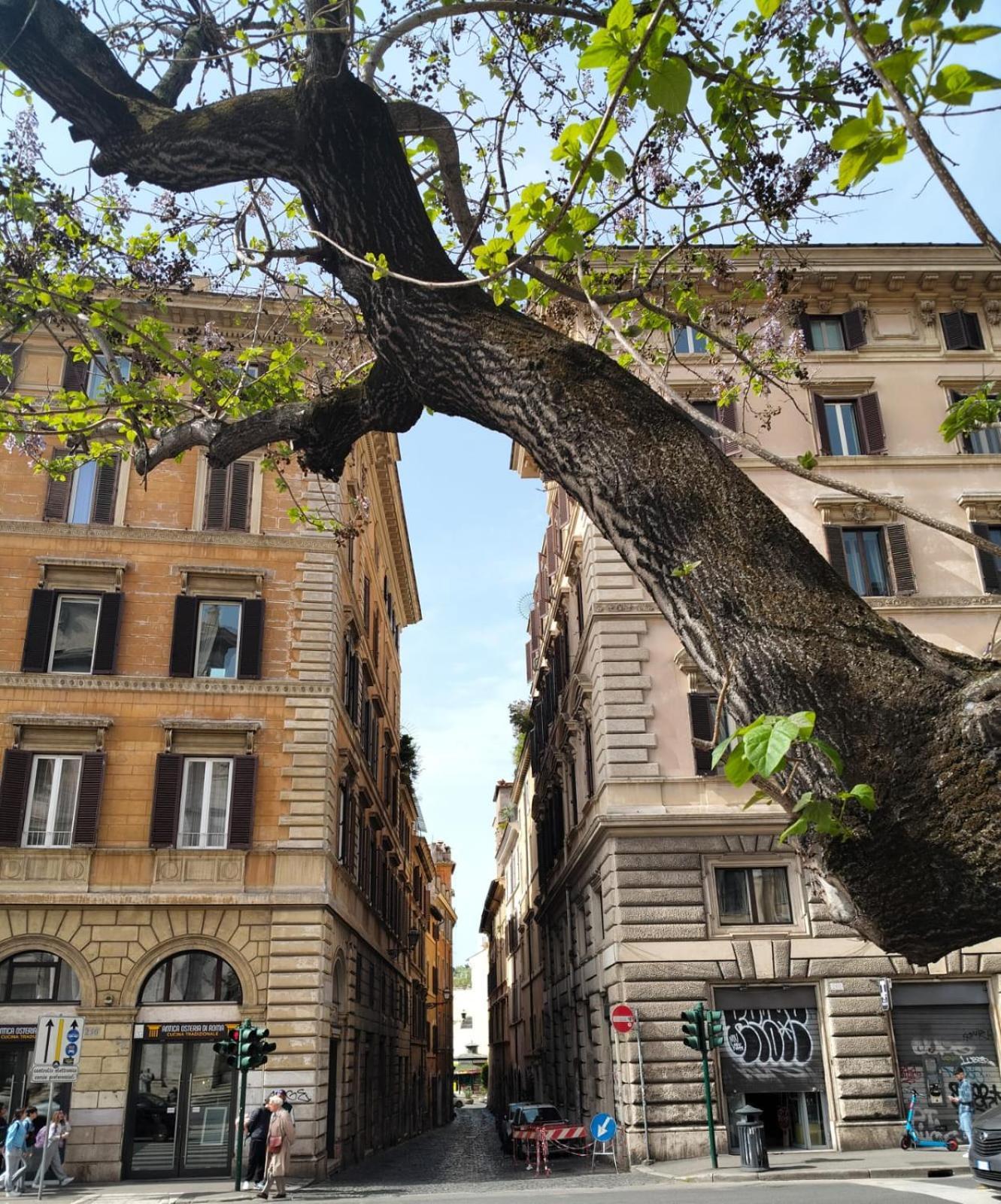 Vatican Near Sweet Home Terrace Rome Exterior photo